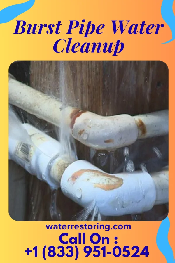 Burst Pipe Water Cleanup in Kent, OH