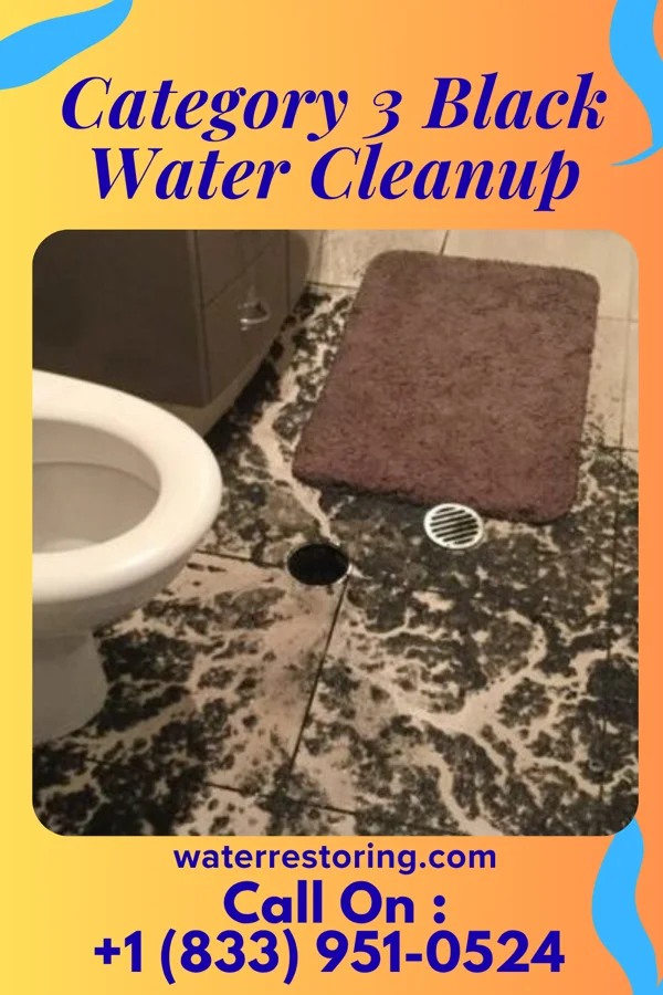 Category 3 Black Water Cleanup in Kent, OH